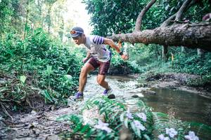 BIB: 
                            <button type="button" onclick="openModal(25430332)" class="btn btn-primary btn-sm float-right btn-popup" data-toggle="modal" data-target=".modal-high-quality">
                        <i class="fas fa-shopping-cart"></i> Add to Cart
                    </button>
                                            <button type="button" onclick="isThisMe(25430332, true)" class="btn btn-success btn-sm float-right btn-popup btn-isme hidden" data-toggle="tooltip" data-placement="bottom" title="นี่คือรูปของคุณใช่ไหม คลิกที่นี่เพื่อเอาเข้าอัลบั้ม">
                        <i class="fas fa-plus"></i> Add to album
                    </button>
                    <button type="button" onclick="isThisMe(25430332, false)" class="btn btn-warning btn-sm float-right btn-popup btn-isnotme hidden">
                        <i class="fas fa-ban"></i> Remove from album
                    </button>